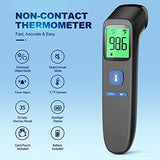 Non-Contact Thermometer