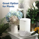 Humidifier